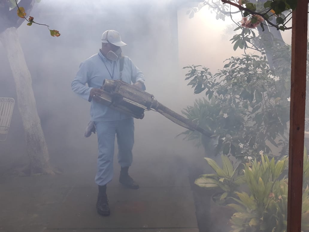 FUMIGAR1